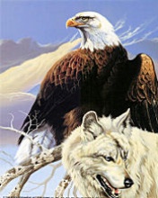 Eagle And Wolf.jpg