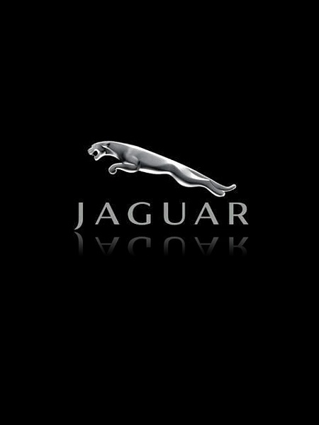 Klicken Sie auf die Grafik für eine größere Ansicht 

Name:	Jaguar.jpg 
Hits:	2413 
Größe:	23,7 KB 
ID:	23173