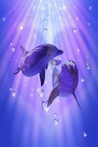 Delphin Bilder