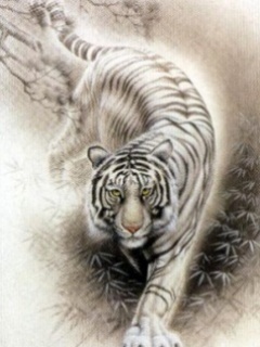 Weiße Tiger Logos (3).jpg