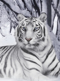 Weiße Tiger Logos (6).jpg