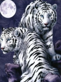 Weiße Tiger Logos (14).jpg