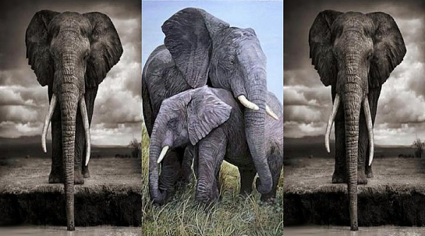 Klicken Sie auf die Grafik für eine größere Ansicht 

Name:	Elefanten Logo (2).jpg 
Hits:	2784 
Größe:	54,2 KB 
ID:	35796