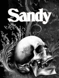 Sandy.gif