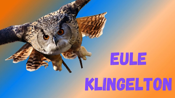 Name:  eule-klingelton.jpg
Hits: 24
Gre:  77,2 KB