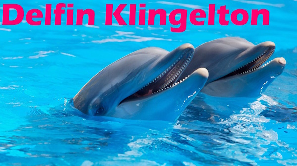 Name:  delfin-klingelton-downloaden.jpg
Hits: 3
Gre:  102,0 KB
