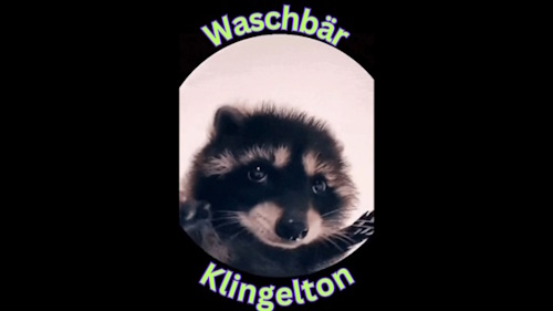 Name:  waschbr-klingelton-kostenlos-downloaden.jpg
Hits: 495
Gre:  26,8 KB