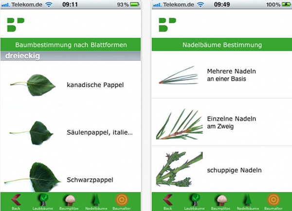 Baumbestimmung mit der Baumportal App fr Android und iOS